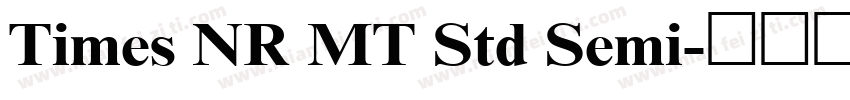 Times NR MT Std Semi字体转换